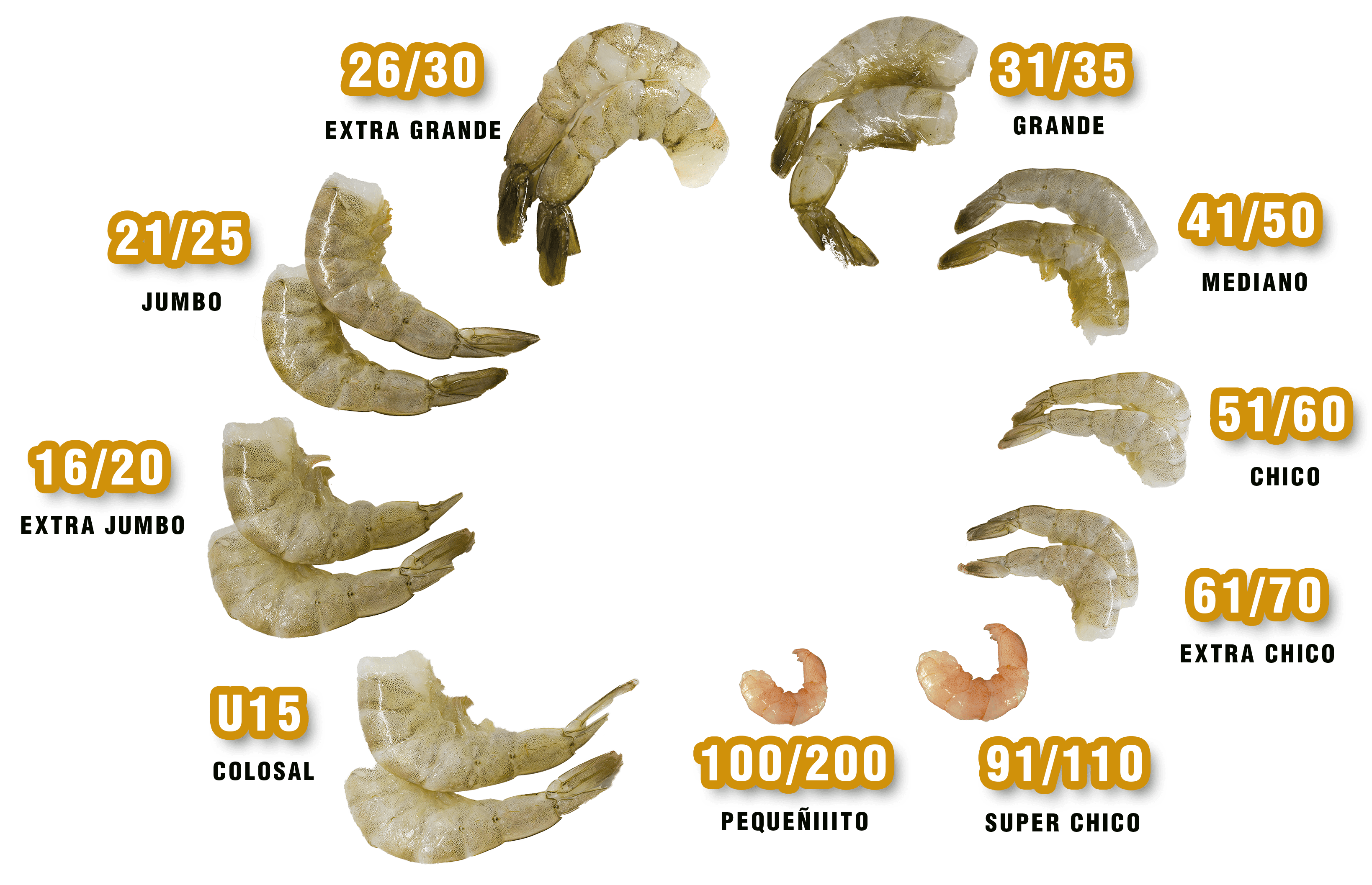 Camarones